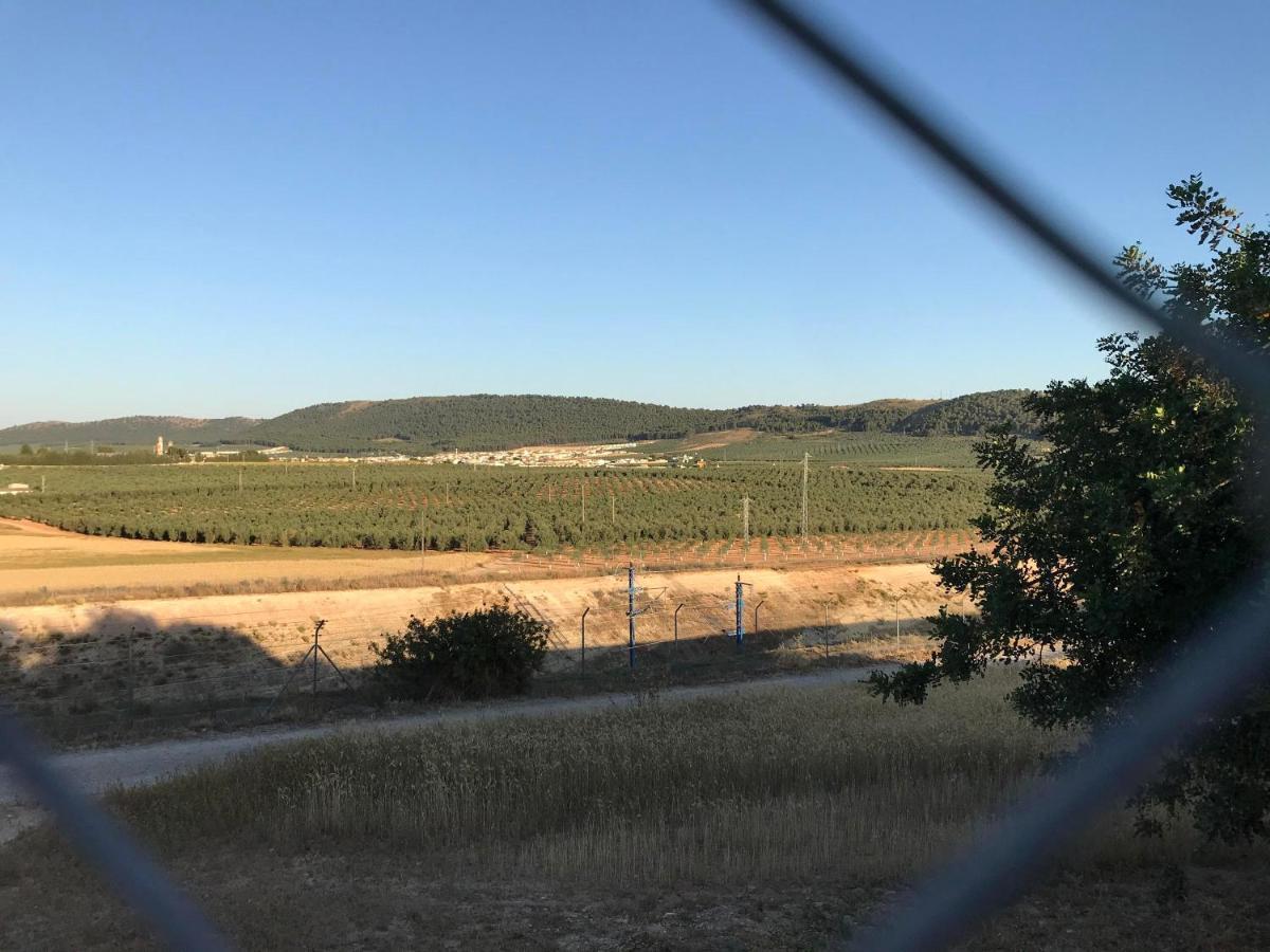 Cortijo Vista Alegre Villa Fuente de Piedra Kültér fotó