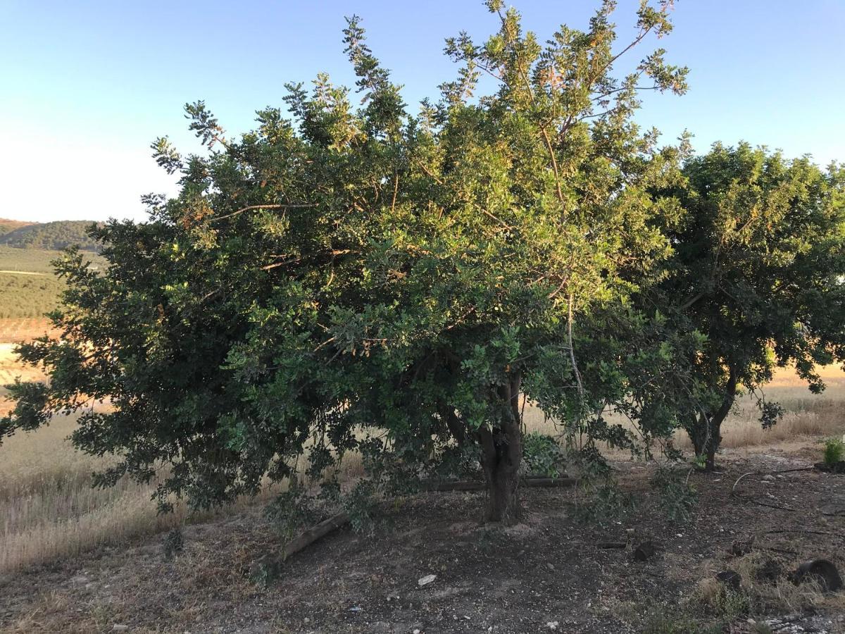 Cortijo Vista Alegre Villa Fuente de Piedra Kültér fotó
